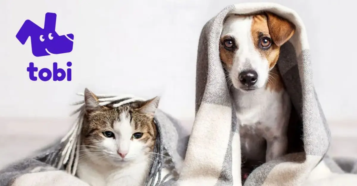 Costa Rican Tobipets Joins Leap Venture Studio